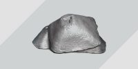aveks-basic-pig-iron-138669-565056